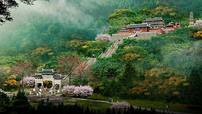 植物造景在園林綠化中應用的原則